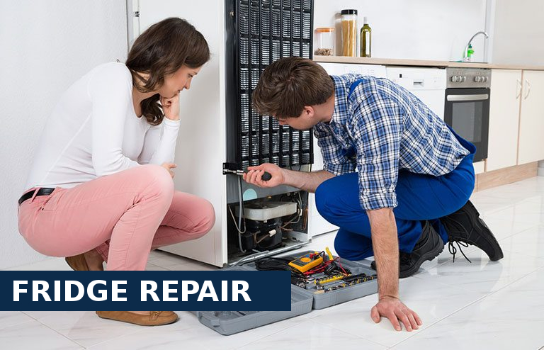 Fridge Repair Staines-upon-Thames